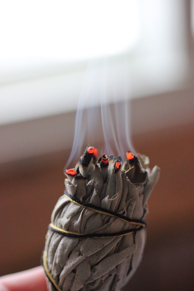 Sauge noire Armoise à brûler - encens sauge, sauge californie