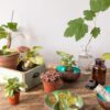mon-joli-bol-ambiance-kit-vert-web