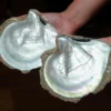 mother-of-pearl