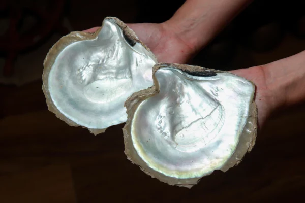 mother-of-pearl