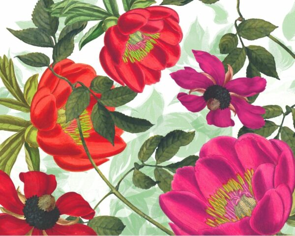 Image d’un motif floral vibrant avec des fleurs rouges et roses éclatantes, idéal pour embellir des accessoires de mode printaniers et estivaux.