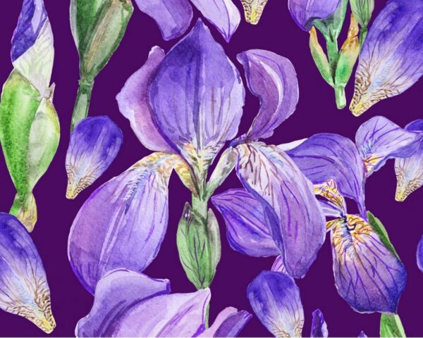 Image d’un motif floral violet avec des fleurs d’iris, idéal pour des accessoires de mode élégants et colorés.
