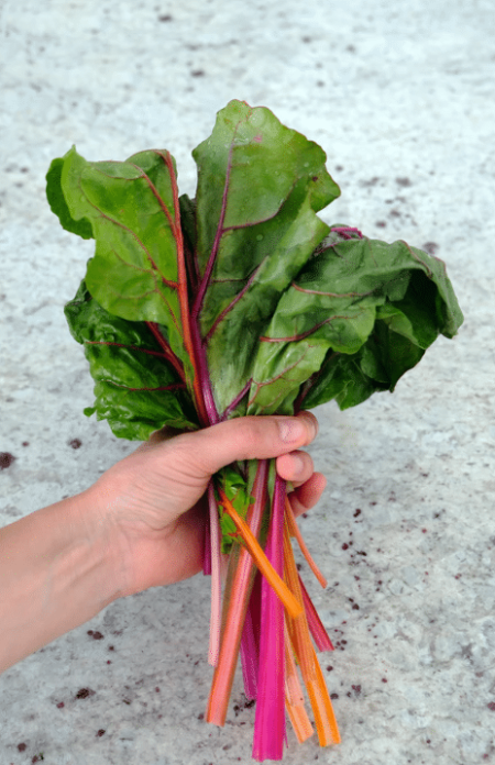 raw-food-1
